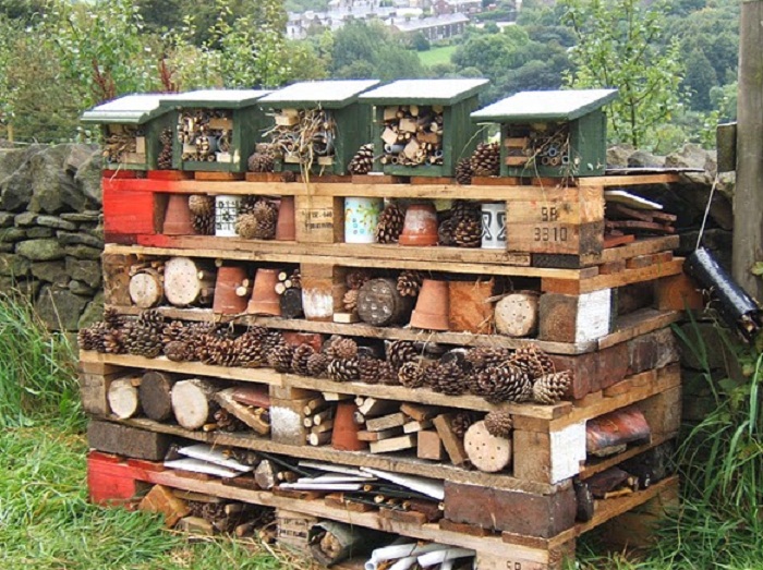 Insect Hotel • Insteading